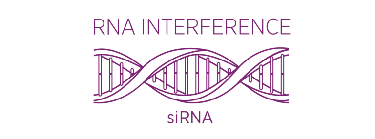 New RNAi Video Feature