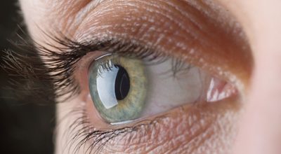Key Players in the Retinitis Pigmentosa Market