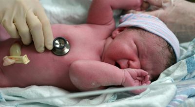 Newborn Screening Companies