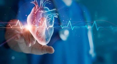 AI in Cardiology Market Applications and Growth (2024 – 2032)