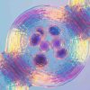 Gemini_Generated_Image_aevm9qaevm9qaev