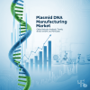 Plasmid DNA Manufacturing Market
