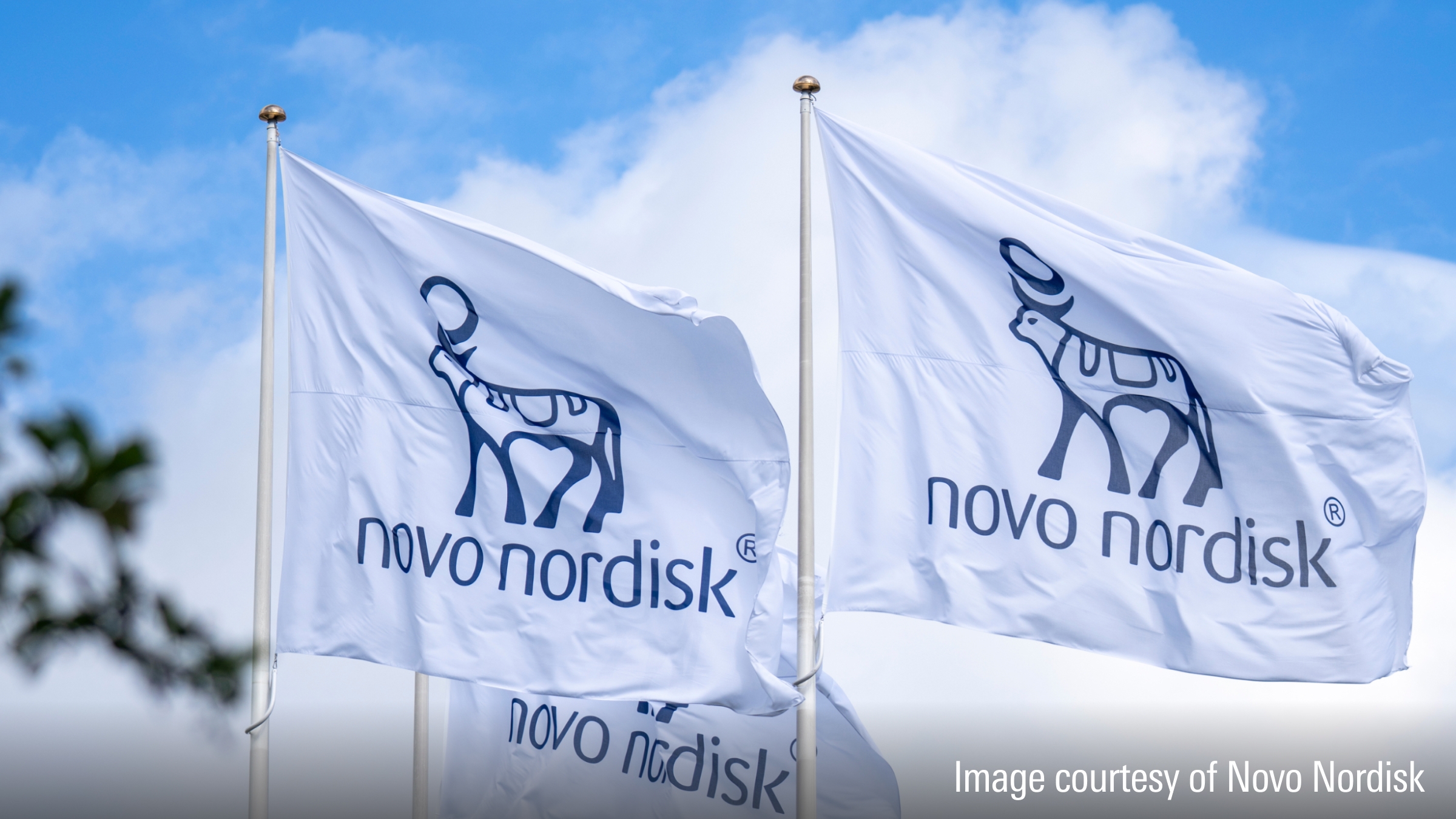 Novo Nordisk FDA Approval